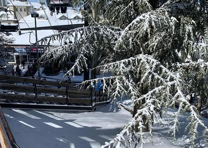 Apartmán Primavera Ii