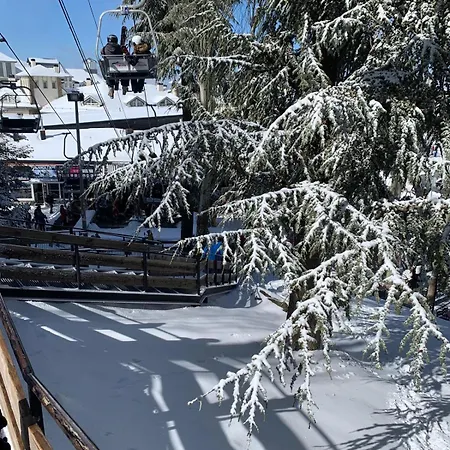 Apartamento Primavera Ii